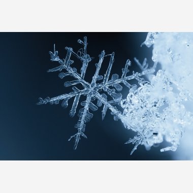 Frost leveres kun p Sjlland i jeblikket 